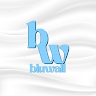 bluwall Agency