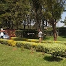 Development Cdkitale