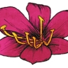 mi passion association