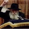 מושקי הרצל