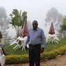 Maurice Edema