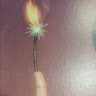 jeffrey nelson
