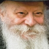 מענדי סגל