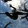 Andrea P