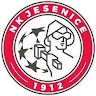 Chairman ŠD NK Jesenice