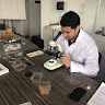 Ramzy Elshahat