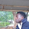 francis sikenga