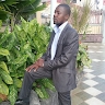 Mr. Ibrahim Mohammed