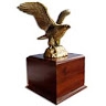 Common Sense Awards
