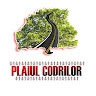 Plaiul Codrilor