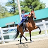Chase Farms