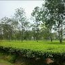 VaibhavThe Great