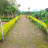 Onex Kananji