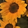 JuliG  