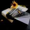 STARDUST ARTISTIC STUDIOS