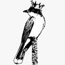 The Kingbirds