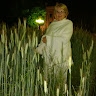 Zita Markauskienė