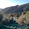 La Farfalla Di Farfa