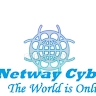 netway cyber