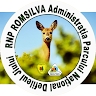 Parcul National Defileul Jiului - National Park