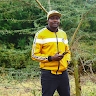Chief Odeya 254