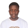 Dimitri C. Babatoundé Allavo