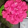 Hanmant Metkari