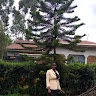 Nyabonyi Gladys