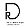 Damir Raguz