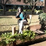 Dorcas Muthoni