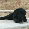 Γιαννης Κλουβιδακης