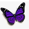 Byflutter Inc