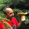 Achilles Michopoulos