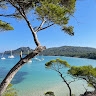 Vincent Thierry