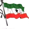 mohamed ismail
