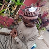Abubakar Muhammad Abdullahi
