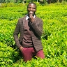 JOSEPH OGULLA