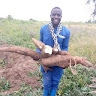 aliyabo ernest