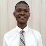 Oluwaseyi S. Erejimi