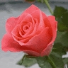 Fareeda Begum