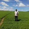Joseph Washika