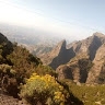 amhara tourist Informationcenter