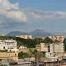Antonella Del Gaudio