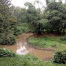charles nyanjui