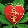 Sahj Kaya El