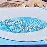 Service Biotech srl
