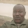 Alege David
