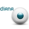 Diana Sîrghi