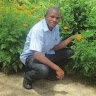 Andrew Zelemen