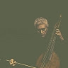 Luigi polsini